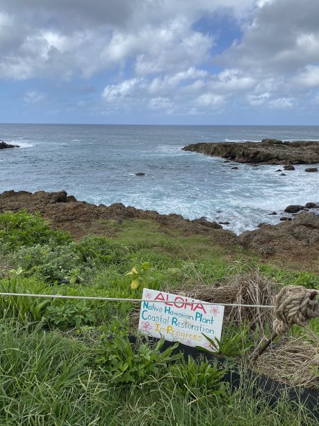 北海岸瓦胡岛夏威夷群岛股票照片图片下载