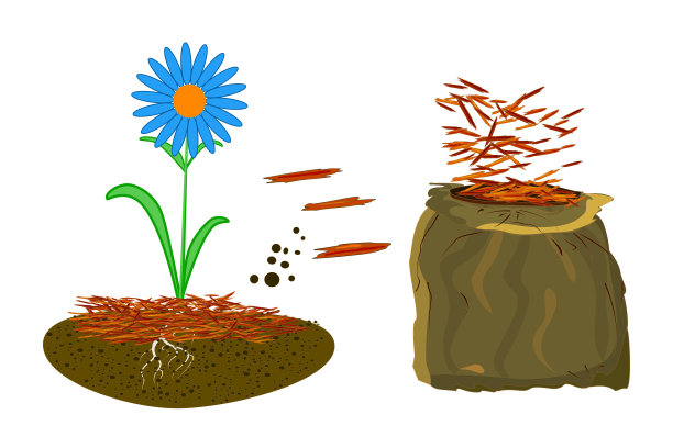 覆盖园艺概念与雏菊，红色覆盖和袋孤立在白色背景。图片下载