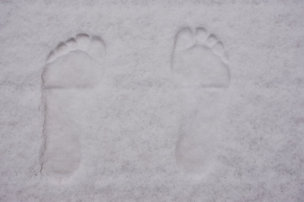 雪地上有脚印图片下载