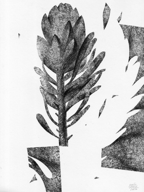 山龙眼花雕刻。花卉艺术品图片下载