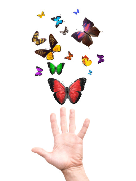 手放飞一群蝴蝶（白色背景）图片下载