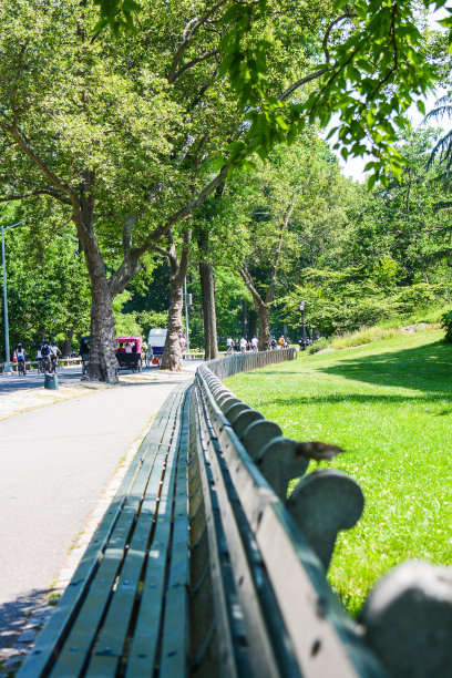 纽约中央公园图片下载