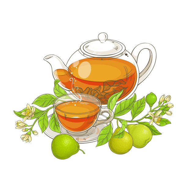 佛手茶矢量插图图片下载