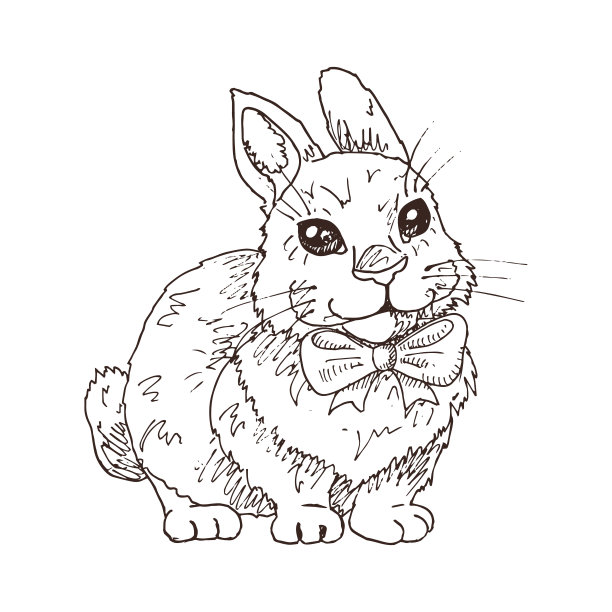 手绘搞笑兔子图片下载