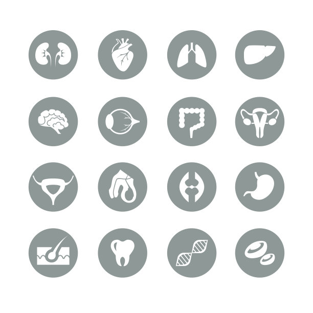 医疗平面一色人体器官内部图标收集图片下载