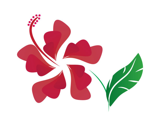 芙蓉花的图标图片下载