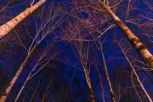 布满星星的夜空图片下载