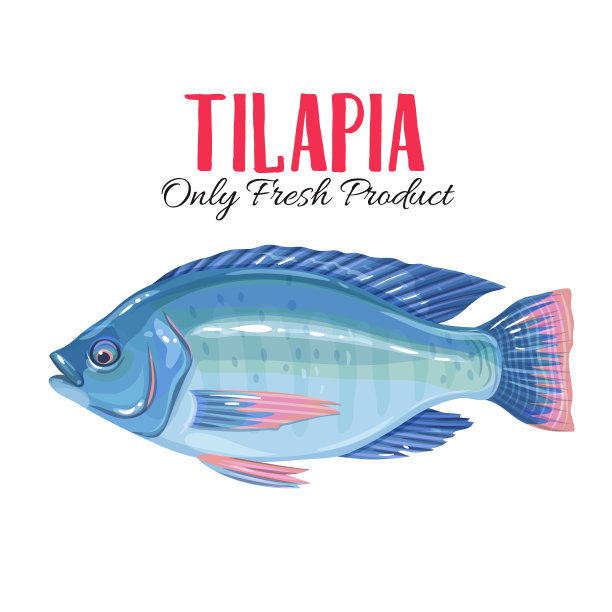 向量的罗非鱼素材图片