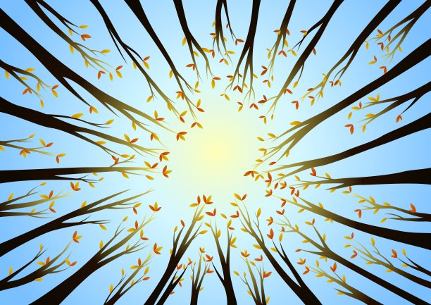 秋天的树梢图片下载