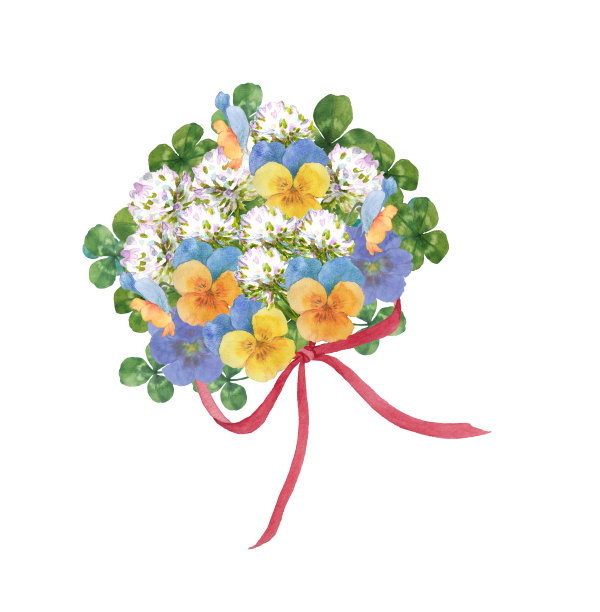 三色堇和白色的三叶草花图片下载