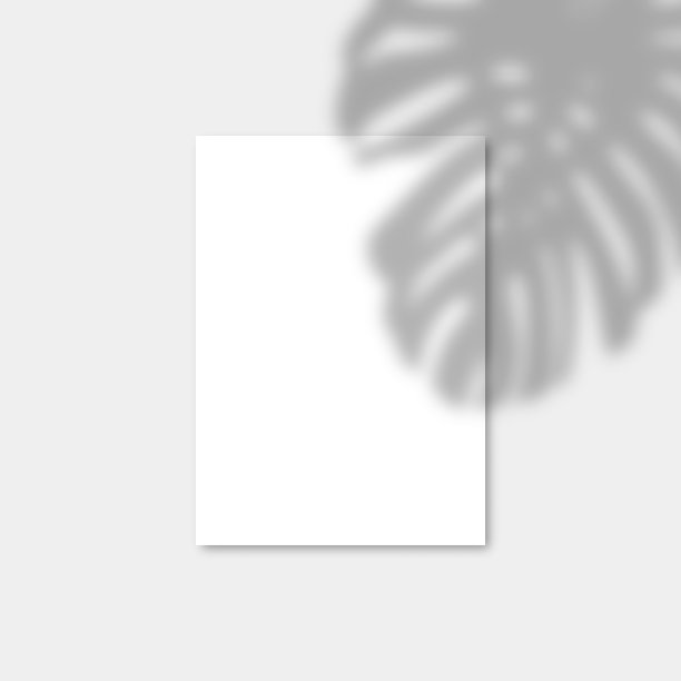 垂直A4纸模型与现实的阴影覆盖怪物的叶子。热带植物的矢量阴影。图片下载