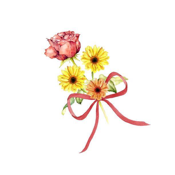 玫瑰和雏菊花图片下载