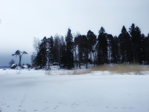 冬天的风景图片下载