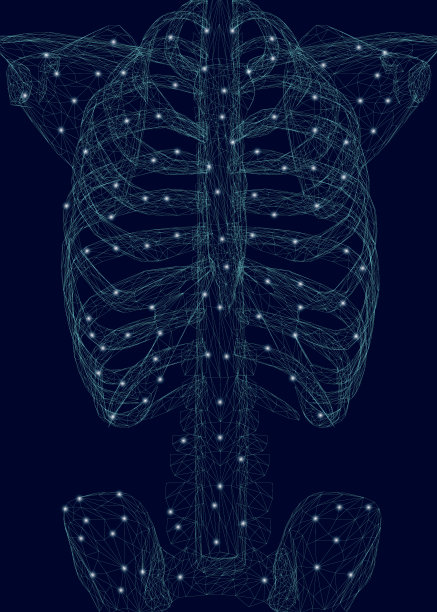 人的胸腔。人的骨骼的多边形线框架由蓝色的线在一个黑暗的背景。矢量图图片下载