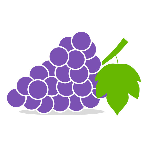 一串葡萄，叶子孤立在白色背景上。矢量插图。图片下载