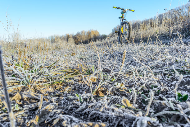 晚秋初霜图片下载