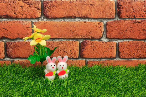 复活节兔子图片下载