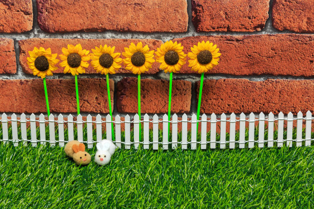 毛茸茸的兔子图片下载