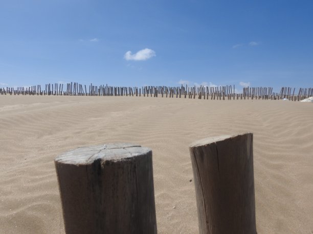 防治荒漠化图片下载