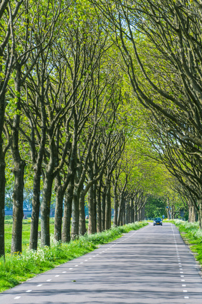 新沥青道路图片下载