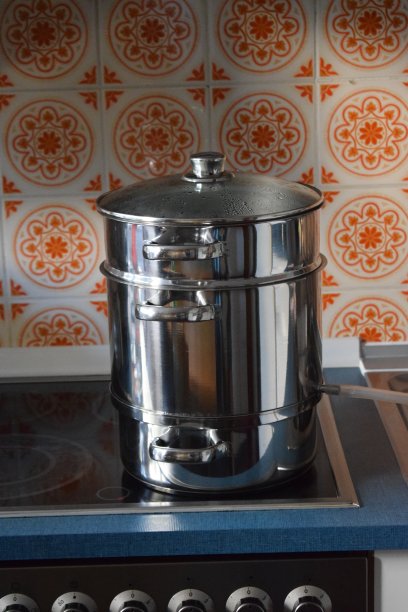 蒸汽榨汁机图片下载