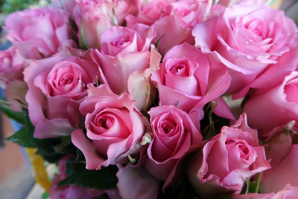 背景与彩色玫瑰灿烂的特殊日子图片下载