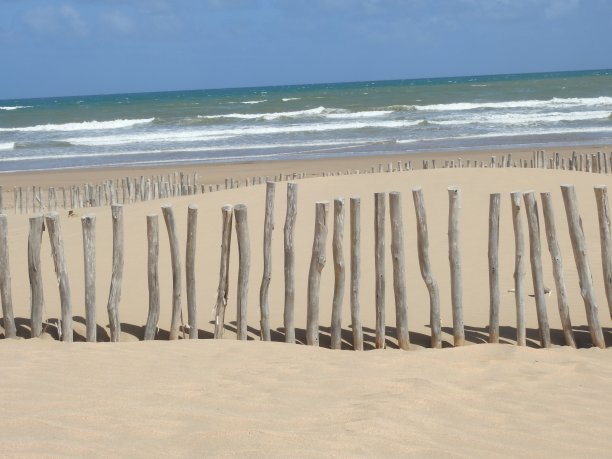 防治荒漠化图片下载