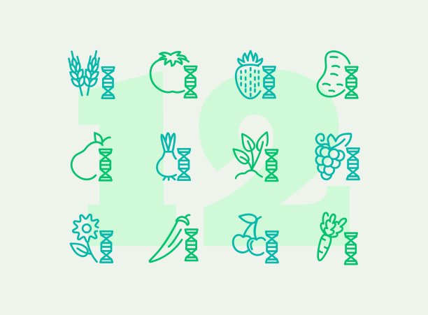 转基因食品图标集。基因，谷物，水果图片下载