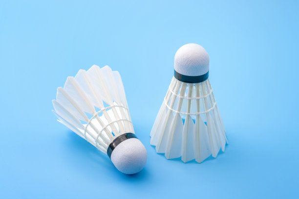 田径和团队运动概念与羽毛球隔离在蓝色的背景图片下载