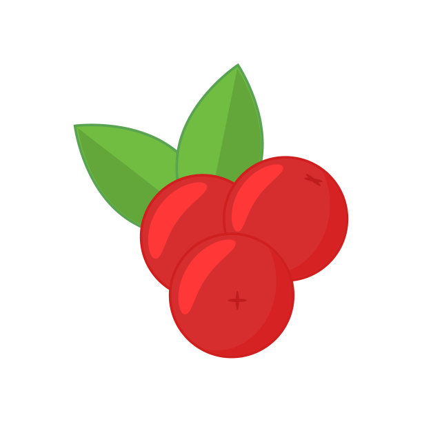 蔓越莓图标在平坦风格。矢量插图设计和网页。图片下载