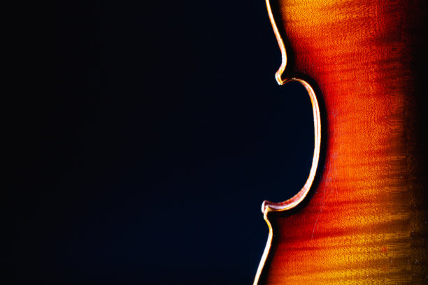 黑上乐团特写老小提琴乐器细节孤立。图片下载