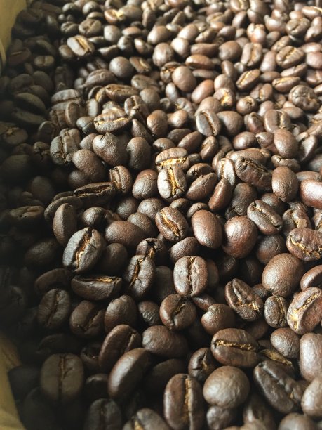 黑咖啡种子图片下载