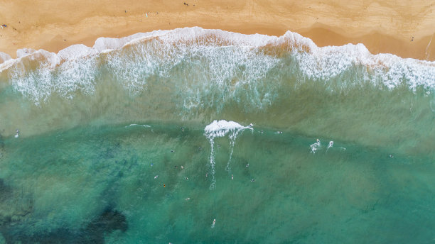 冲浪者在大海浪中，澳大利亚悉尼由无人机俯视图片下载