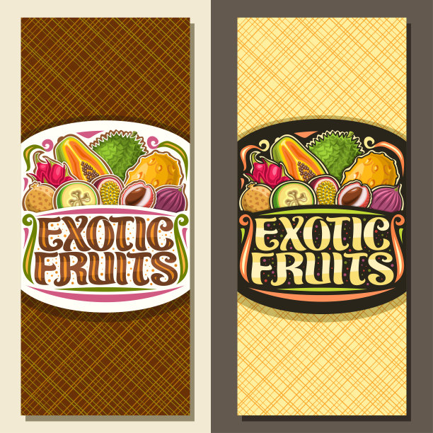 矢量布局的异国水果图片下载