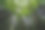 树林图片素材ID：351729510