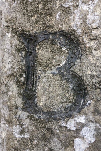 文字措词在破旧的州排版发现字母B图片下载