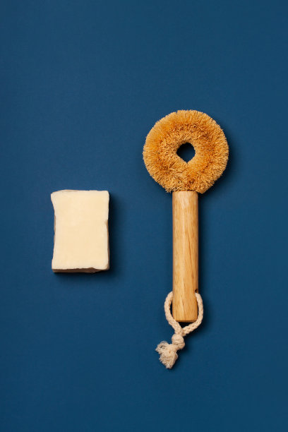 蓝色背景上的环保清洁工具图片下载