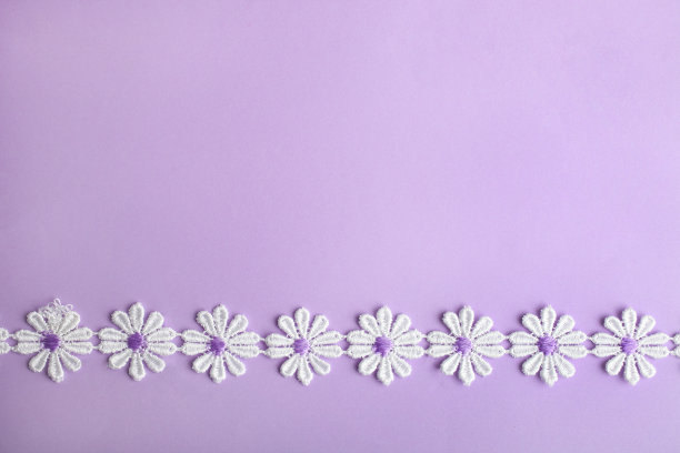 洋甘菊花的花边图片下载