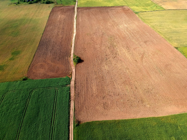 仲夏时节农田，鸟瞰图图片下载