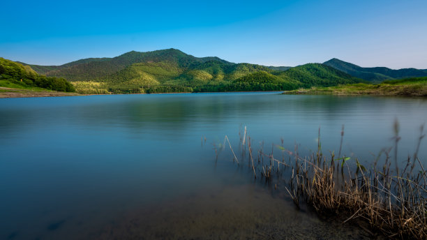 自然的照片图片下载