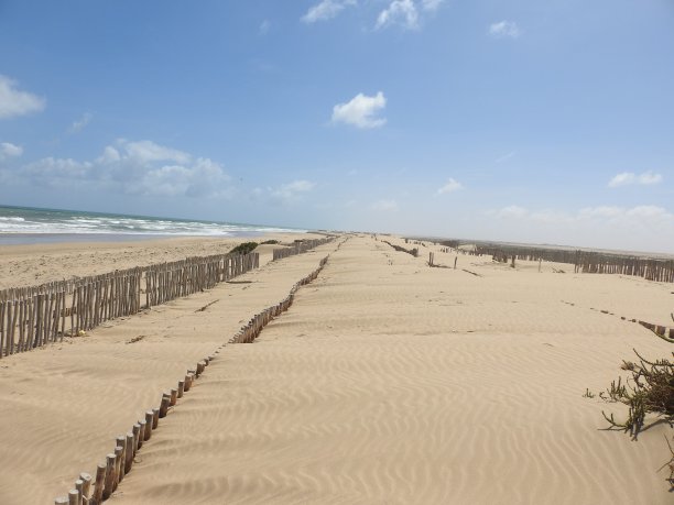 防治荒漠化图片下载