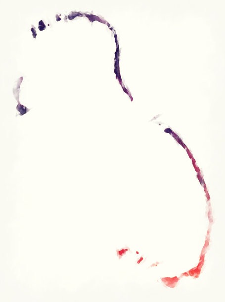 图瓦卢Nukulaelae岛水彩画地图图片下载