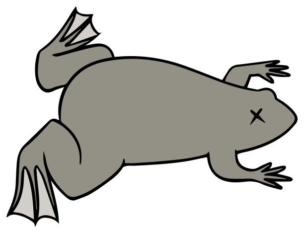 爪蟾矢量图图片下载