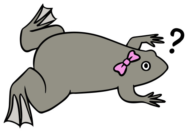 爪蟾矢量图图片下载