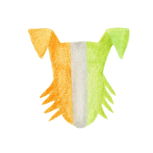 狗在爱尔兰国旗的颜色图片下载