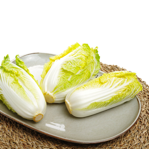 迷你天津小白菜“瓦瓦卡伊”图片下载