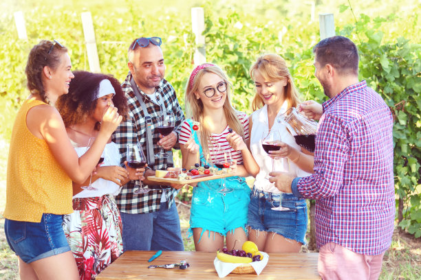 年轻的多民族朋友有乐趣的野餐派对在乡村葡萄园喝食物和吃生物奶酪和食物图片下载