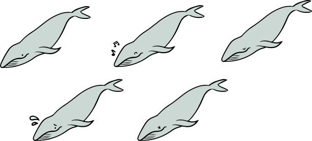鲸鱼矢量图图片下载