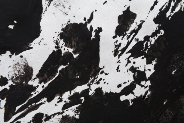 抽象的黑白背景图片下载