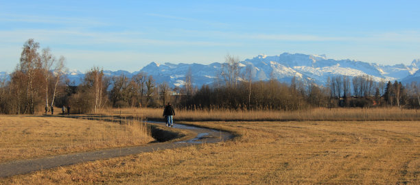远处的雪山在一个晴朗的冬日。场景在维兹康，苏黎世广州。图片下载